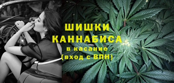хмурый Нягань