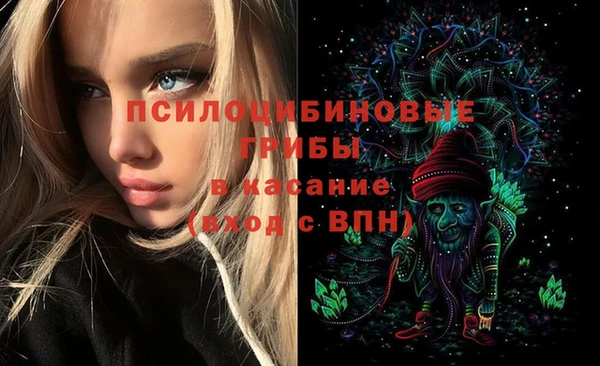 марихуана Новодвинск