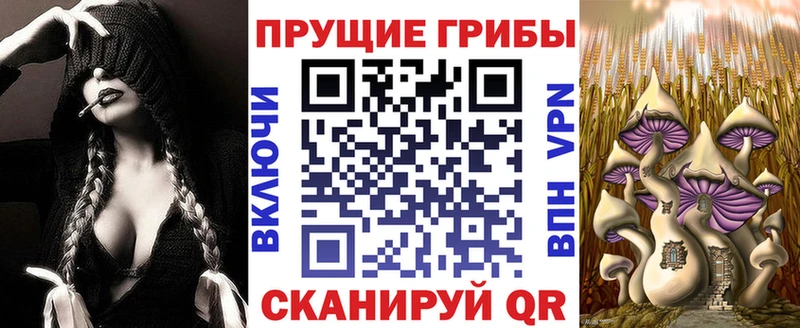 Галлюциногенные грибы Magic Shrooms  OMG ONION  Ряжск 